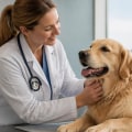 Exploring Veterinary Services in Indianapolis