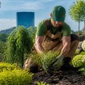 Exploring the Best Landscapers in Indianapolis