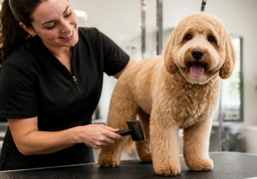 The Essential Role of Pet Grooming in Indianapolis