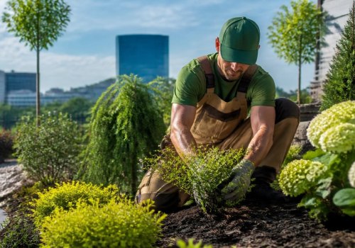 Exploring the Best Landscapers in Indianapolis